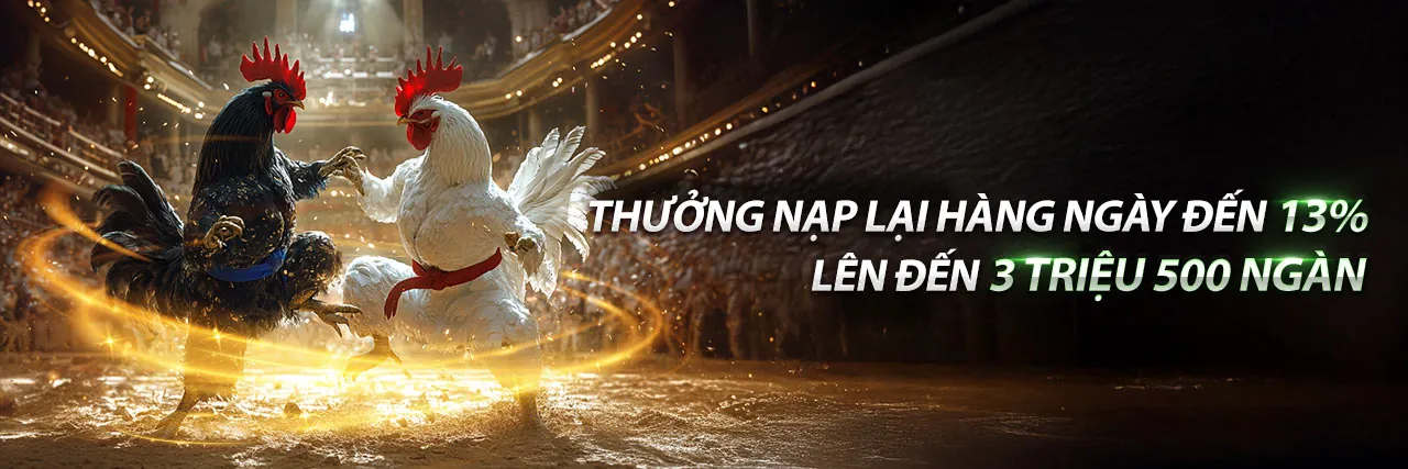 Sân vận động tràn ngập ánh sáng với hình ảnh cá cược thể thao 8bet win