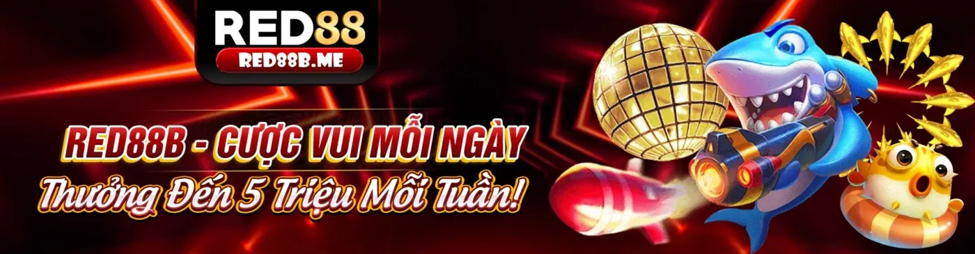 Thưởng nạp lại cho người chơi cá cược thể thao thường xuyên
